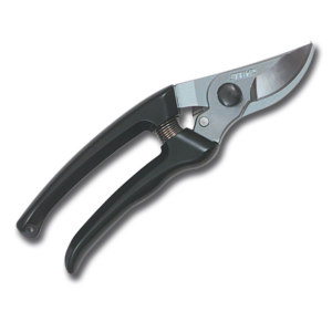 Pp30.png