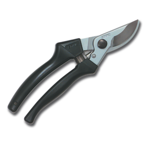 Pp40.png