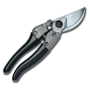 Pp60.png