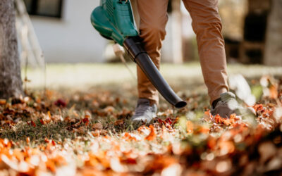 Fall Lawn Care: Must Do’s for Your Yard