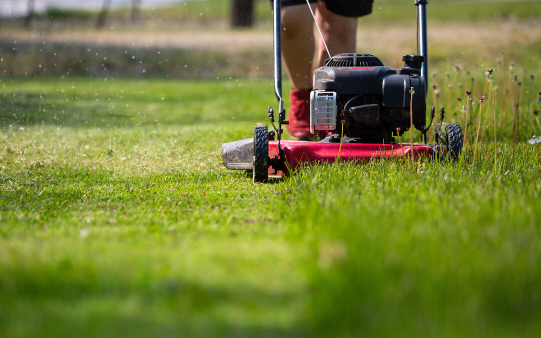 How Often Should You Mow Your Lawn in Connecticut?