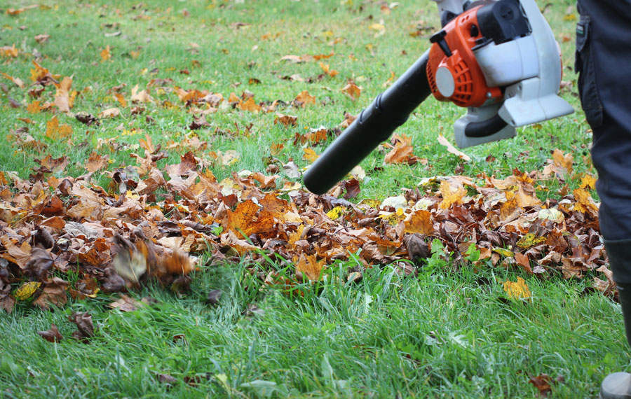 The Fall Lawn Care Schedule: A Checklist for Connecticut Yards