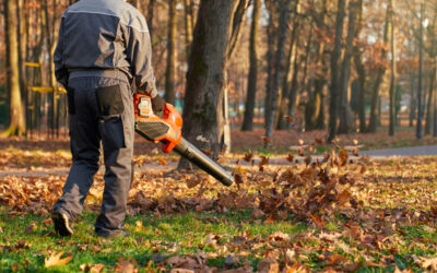 How to Use a Leaf Blower Like a Pro