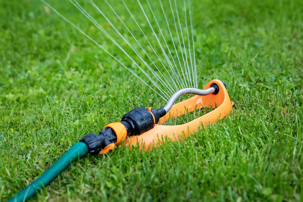 Signs Your Lawn Needs Water
