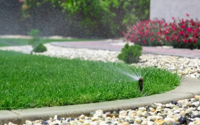 When Is the Best Time to Water Your Lawn in Connecticut?