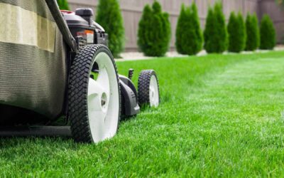 Spring Lawn Care: 12 Tips to Get Your Lawn Ready for Summer