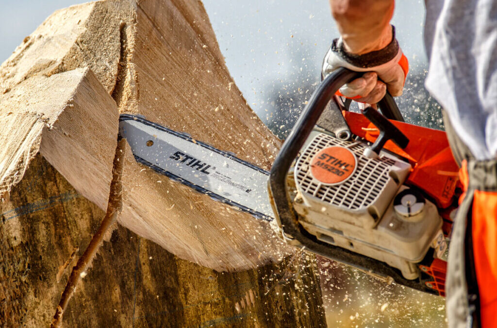 Chainsaw Safety Tips: How to Use a Chainsaw