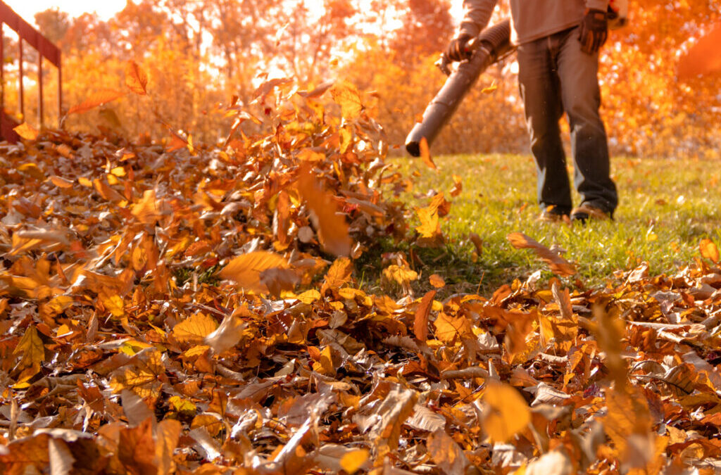 What Is CFM on a Leaf Blower?