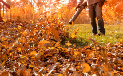 What Is CFM on a Leaf Blower?