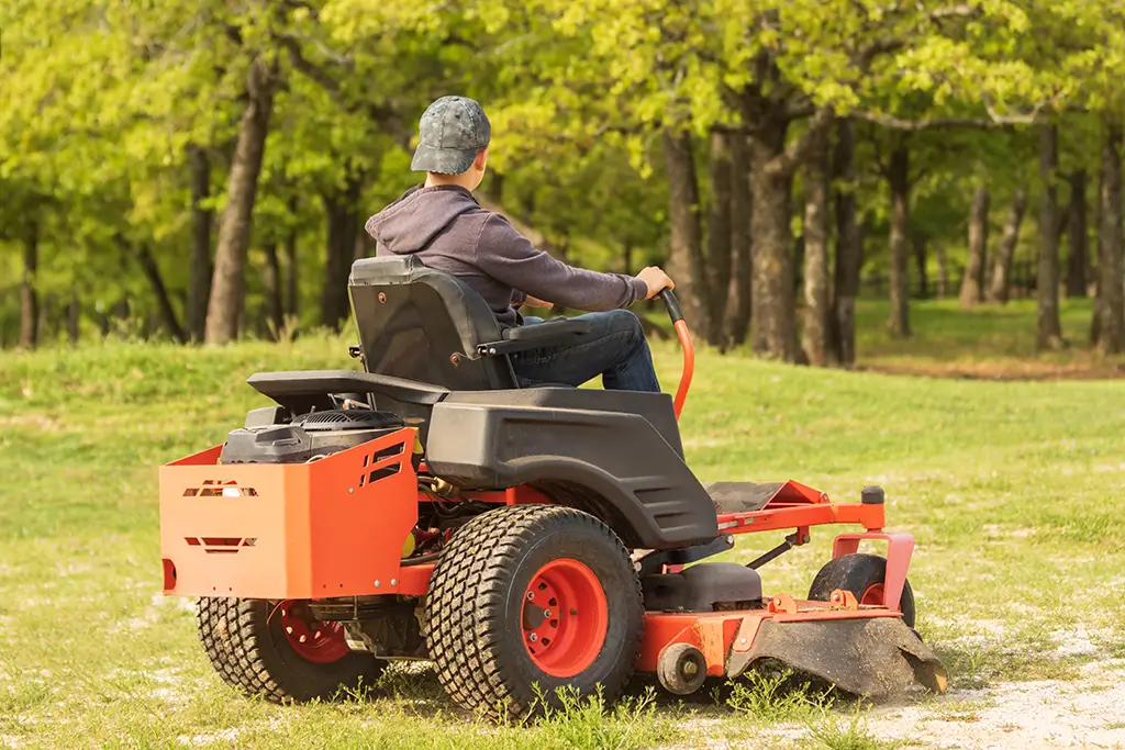Spring Lawn Img
