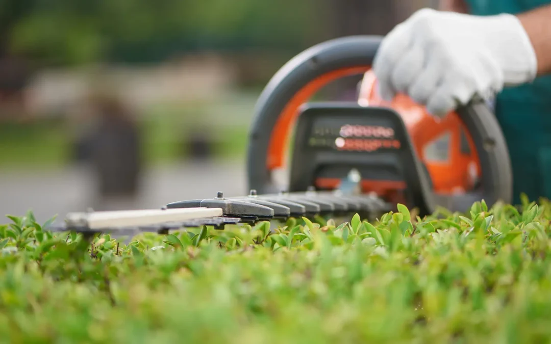How Fuel Costs Affect Landscaping and Lawn Care