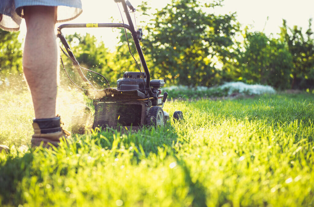 Gas vs Electric Lawn Mowers: Pros and Cons Compared