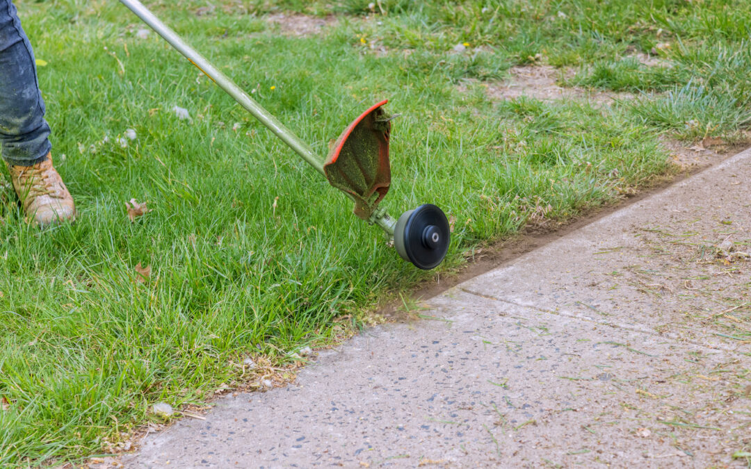 String Trimmer vs. Edger: How to Pick the Right Tool for the Job