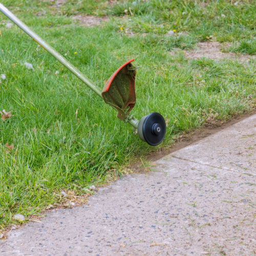 String Trimmer vs. Edger: How to Pick the Right Tool for the Job