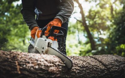Chainsaw Won't Start? 8 Common Causes and How to Fix Them