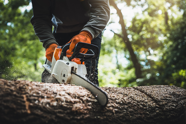 Chainsaw Won't Start? 8 Common Causes and How to Fix Them