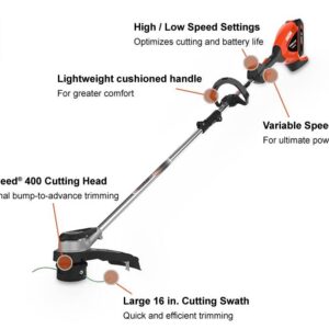 Echo DSRM 2100C1 Image 1