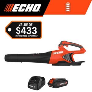 Echo DPB 2500C1 LE Image 1