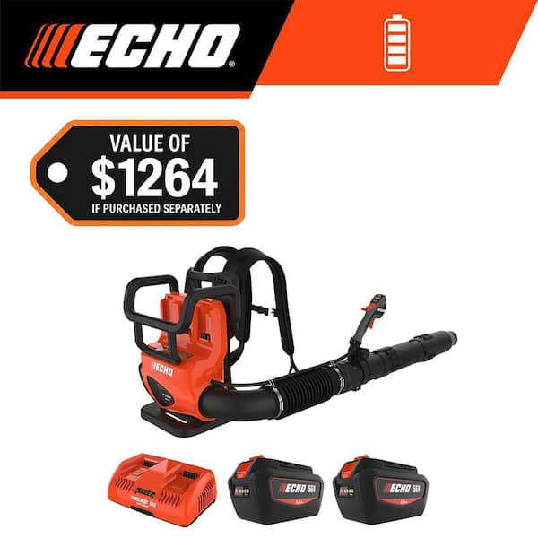 Echo DPB-5800TD2-2