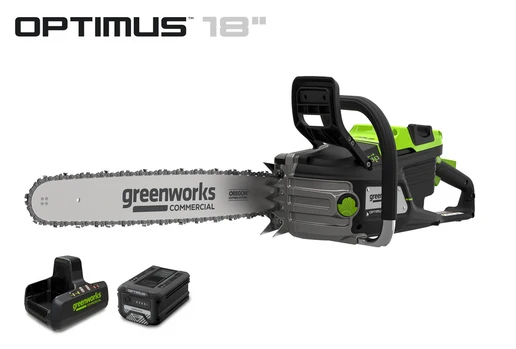 Greenworks 2027302