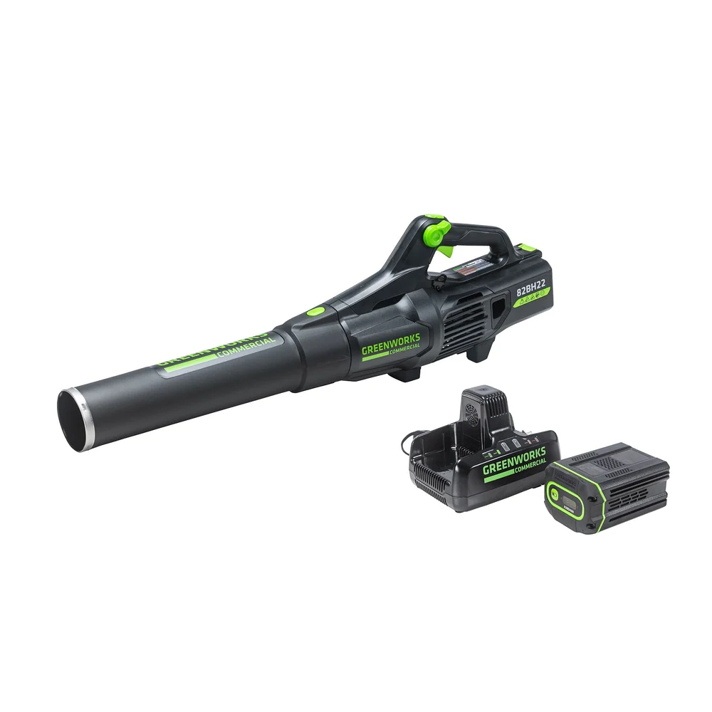 Greenworks 2426702VT