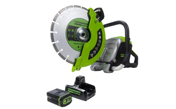 Greenworks 1503902