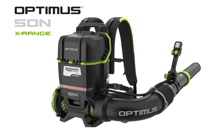 Greenworks BB50XC2A1