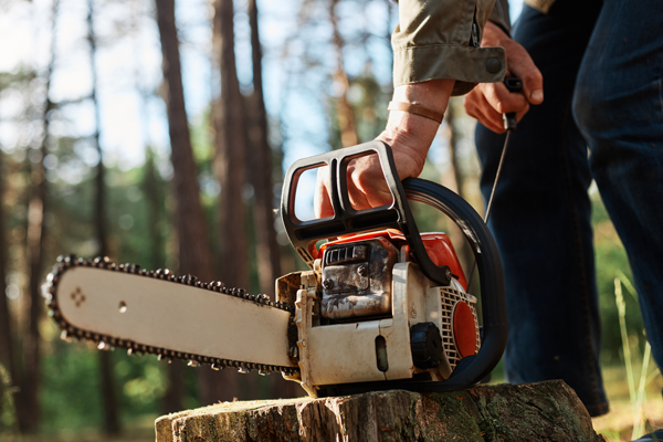 Chainsaw Image