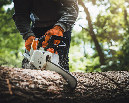 Chainsaw Won't Start? 8 Common Causes and How to Fix Them