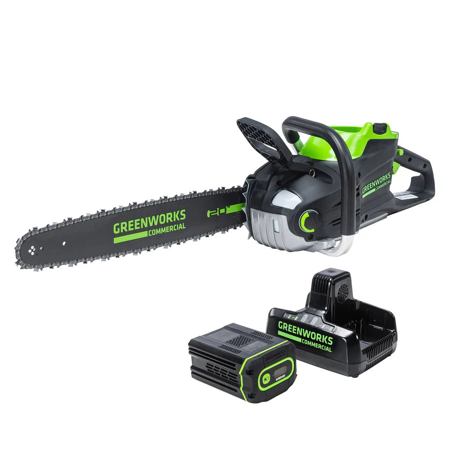 Greenworks 2025802