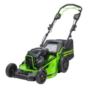 Greenworks 2542802 Image 1
